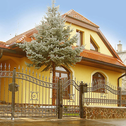 Kovaný plot - zavináčový vzor - výnimočná brána a plot pri rodinnom dome Kovaný plot - zavináčový vzor - výnimočná brána a plot pri rodinnom dome