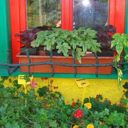 Ručne kovaný držiak kvetináčov na okne vo vidieckom štýle - okenná ohrádka na kvety vyrobená v UKOVMI
