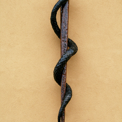 Hand-forged snake on a rod as a symbol of medicine