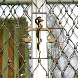 Forged scales as a symbol of medicine on window grilles – detail