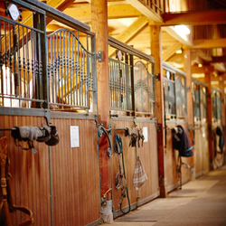 A wrought iron facade of horse stalls