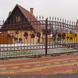 A vine embedded in a wrought iron gate