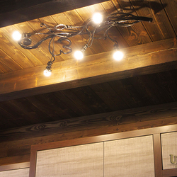  Luxusné závesné svietidlo - kované interiérové svietidlo Koreň - luster do kuchyne a iných interiérových priestorov