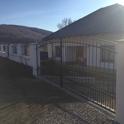 General view of the forged gates and fence